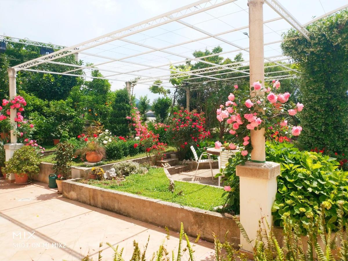 Apartments & Rooms Cakelic Mlini Bagian luar foto