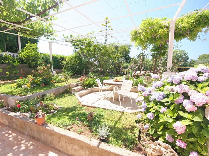 Apartments & Rooms Cakelic Mlini Bagian luar foto